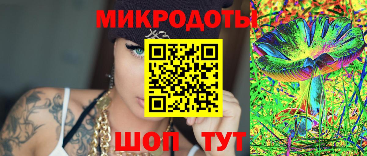 Галлюциногенные грибы Psilocybe Можайск