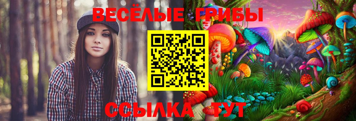 Галлюциногенные грибы Cubensis  Галлюциногенные грибы ЛСД  Можайск  закладки  Вход с VPN 